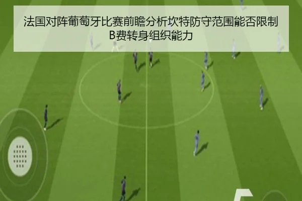 法国对阵葡萄牙比赛前瞻分析坎特防守范围能否限制B费转身组织能力